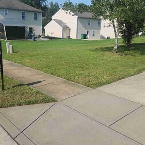 turf care by Prizel Lawn Service reviewed on August 17, 2025