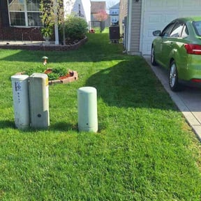 yard service by Lively Lawn Care & Handy Man Services reviewed on August 18, 2025