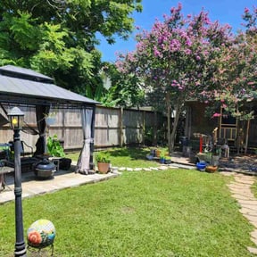 yard service by Pete’s Elite Lawn Care LLC reviewed on August 19, 2025