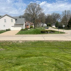 lawn maintenance by H&M Lawn Care reviewed on April 23, 2024