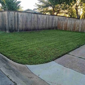 lawn service by David&#039;s Landscaping reviewed on November 9, 2017