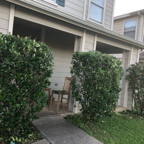 Bush Trimming by JDAA Lawn Care Service LLC reviewed on August 15, 2025