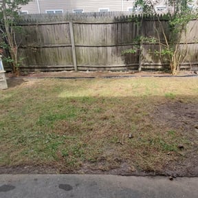 Leaf Removal by Green &amp; Son Lawn &amp; Hardscape reviewed on September 20, 2025