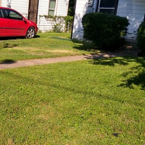 Bush Trimming by Willie's Mobile Lawn Services reviewed on August 20, 2025
