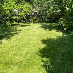 landscaping services by Sustainable Lawn Care of Ohio reviewed on December 29, 2025