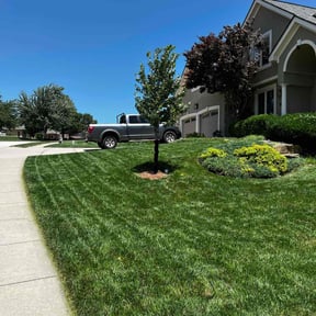 gardening service by S&S Lawn Care reviewed on August 17, 2025