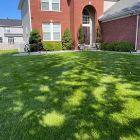 yard service by Luna's Lawn Care reviewed on August 20, 2025