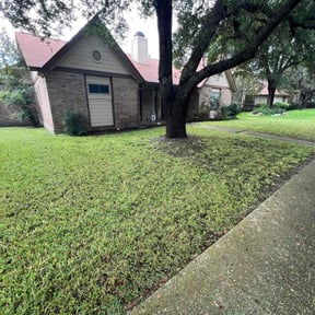 landscaping services by Lone Star Gigs reviewed on August 17, 2025