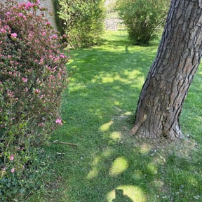 residential landscaping by AG lawn service reviewed on August 15, 2025