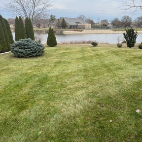 Leaf Removal by Turnerz Does it All reviewed on September 11, 2025