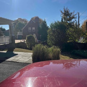 Bush Trimming by A&O Lawn Care reviewed on August 16, 2025