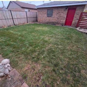 Leaf Removal by Jared and sons reviewed on November 22, 2025