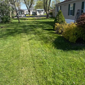 lawn care services by Much Obliged Lawn Care reviewed on April 19, 2024