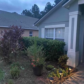 Bush Trimming by Veterans lawn services reviewed on August 15, 2025