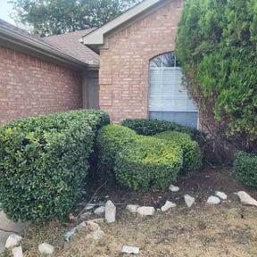 Bush Trimming by Awesome Lawns and More LLC reviewed on August 17, 2025