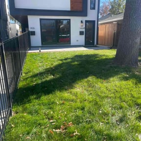 Leaf Removal by Romero Landscapers reviewed on September 28, 2025