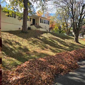 Leaf Removal by Gacia,s &amp; Landscape LLC. reviewed on November 9, 2025