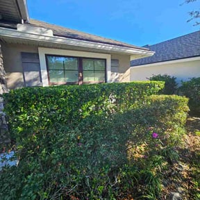 Bush Trimming by SGP Lawn Services reviewed on February 27, 2026