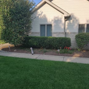 Bush Trimming by Wilson & Son Lawn Care reviewed on August 17, 2025