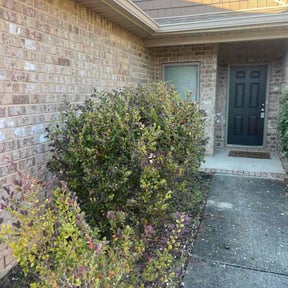 Bush Trimming by B&amp;J Lawn and Homecare reviewed on November 20, 2025