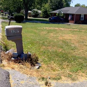 Bush Trimming by Pineda landscaping reviewed on August 19, 2025