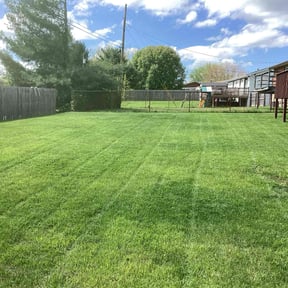 lawn maintenance by A -Pro Home Services reviewed on August 21, 2025