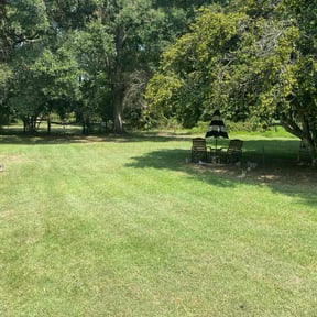 landscape maintenance by Yards_plus reviewed on January 28, 2026