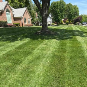 lawn care by David Peters reviewed on May 23, 2025