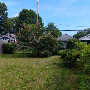 Bush Trimming by TaylorScapes,llc reviewed on August 19, 2025