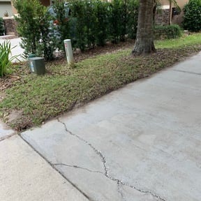 Leaf Removal by Kevins lawn and tree reviewed on September 21, 2025