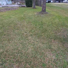 Leaf Removal by Get her done lawn service reviewed on March 30, 2026