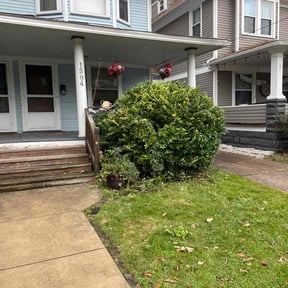 Bush Trimming by A1 Sears Carpet Cleaning/Landscaping reviewed on August 20, 2025
