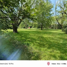 gardening service by RTH Lawn Service &amp; Landscaping LLC reviewed on November 24, 2025