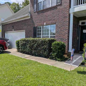 Bush Trimming by M@M Lawn Services reviewed on August 16, 2026