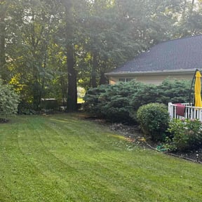Bush Trimming by LIGHTNING LANDSCAPING & LAND MANAGEMENT reviewed on August 19, 2025