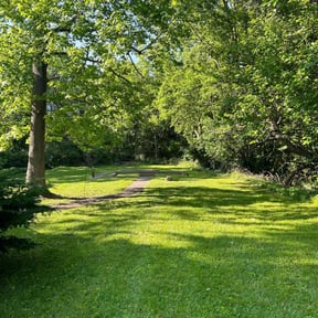yard care by 3GUYSLAWNCARE reviewed on August 19, 2025