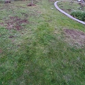 lawn maintenance by Caldwell Landscaping reviewed on August 10, 2024