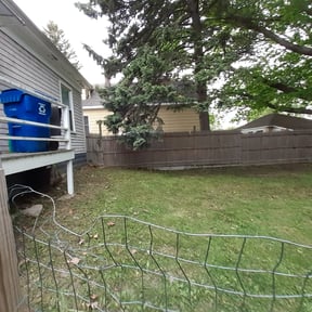 Leaf Removal by Logans Lawn service reviewed on September 13, 2025