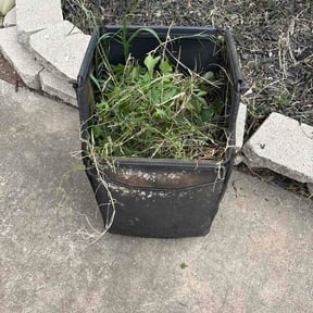 Flower Bed Weeding by HGD landscaping reviewed on April 10, 2026
