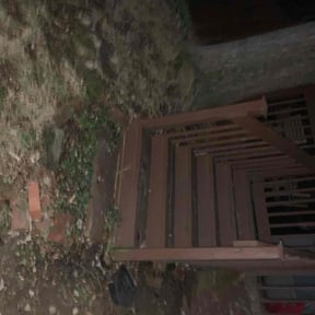 Leaf Removal by STANK cutz reviewed on December 20, 2025