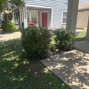 Bush Trimming by Johnson landscaping reviewed on August 18, 2025