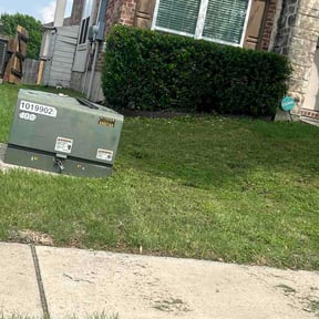 Bush Trimming by Winter Lawn Care reviewed on April 17, 2026