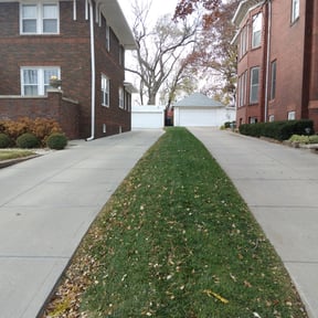 Leaf Removal by Rios Enterprise Lawn Mowing Services LLC reviewed on August 17, 2025