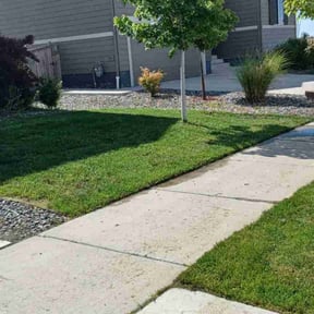 turf care by Olsen Landscape Services Inc reviewed on November 9, 2017
