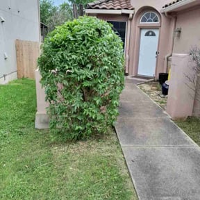 Bush Trimming by Marshall Lawn LLC reviewed on August 17, 2025