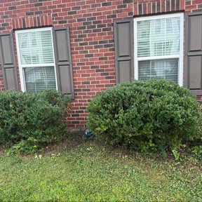 Bush Trimming by Grateful Green Lawn Care reviewed on October 24, 2025