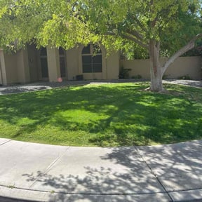 yard work by Farria's landscaping lawn care & more reviewed on August 21, 2025