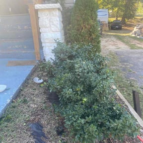 Bush Trimming by Ramos Landscaping reviewed on August 21, 2025