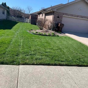 landscape maintenance by Ggreatness LLC reviewed on August 16, 2025