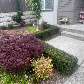 Bush Trimming by MPS Construction/Outdoor Living reviewed on June 10, 2025